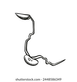 sprouted soybean seed icon on white background from agriculture collection, sketch vector.