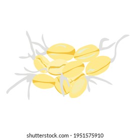 Ilustración del vector del trigo brotado. Vista de semilla de avena desde arriba. Los micro verdes cierran. Aislado sobre un fondo blanco.