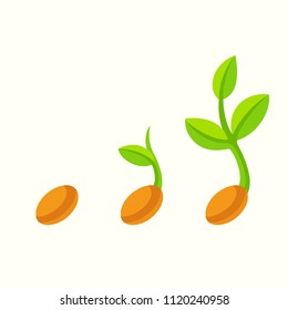 Sprouting seed cartoon illustration. Plant seedling at different stages, isolated vector clip art.