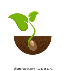 Sprossende Samen auf weißem Hintergrund. Grüner Cartoon sprießt auf braunem Boden. Logo, Symbol, Zeichen, Symbolkonzept. Vektorgrafik.