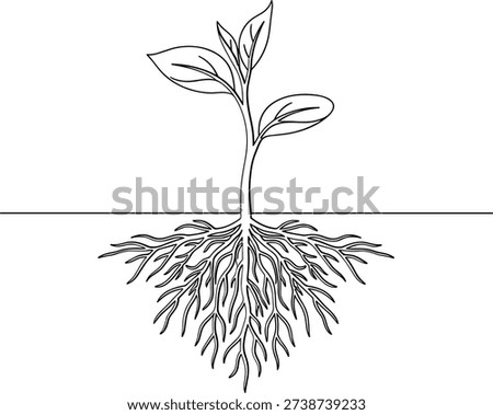 Sprouting seedling with visible roots and leaves growing underground