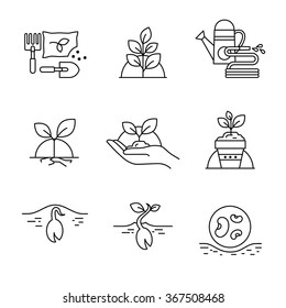 Sprouting seeds and home gardening Thin line art icons. Linear style illustrations isolated on white.