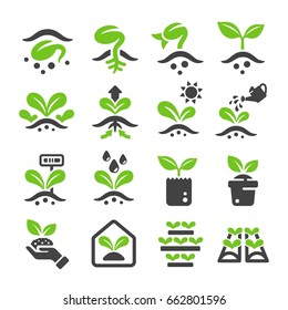 sprout,plant icon