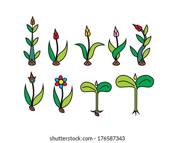 The Sprouts Of Abstract Fancy Plants and Flowers Growing from Seeds - Vector Illustration