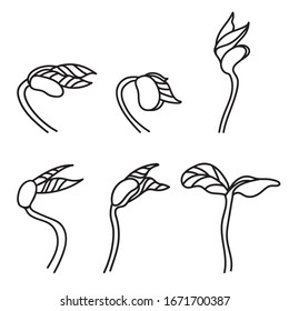 Sprouts collection vector illustration in doodle style. Flat spring symbol shoots from seeds.