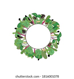 Sprouts. Diet and vitamins. Color image of micro greenery on a white background. There is a place for text. Design element. Vector illustration.