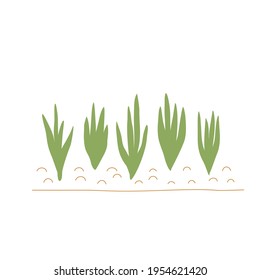 Sprouts in the garden, an element of gardening. Cute vector illustration.