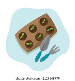 Sprouts grew from the seeds, gardening. Vector illustration