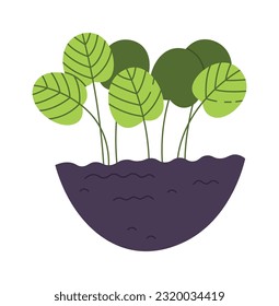 Sprouts In The Ground Vector Illustration