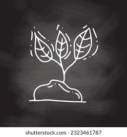 Sprouts growing from the ground. Eco concept. Hand drawn vector outline doodle icon on chalkboard background. 