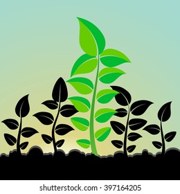Sprouts growing from the soil