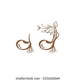 Sprouts Hand Drawn Vector