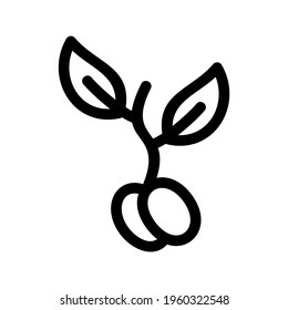 sprouts icon or logo isolated sign symbol vector illustration - high quality black style vector icons
