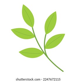 Sprouts with leaves on a white background, vector illustration.