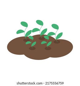 Sprouts on ground on white background for use on site. Vector isolated images for use in clipart