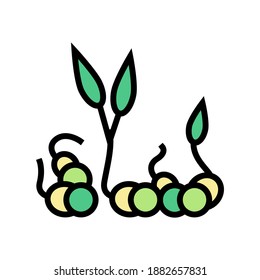 sprouts peas color icon vector. sprouts peas sign. isolated symbol illustration