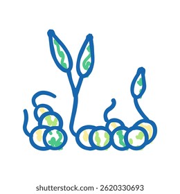 sprouts peas doodle icon sketch vector. sprouts peas sign. isolated symbol illustration
