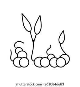 sprouts peas line icon vector. sprouts peas sign. isolated contour symbol black illustration