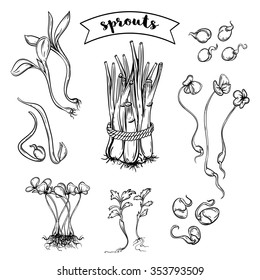 Sprouts plants set. Isolated elements. Black and white vector hand drawn illustration