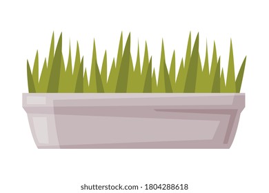 Sprouts or Seedlings Potted in White Container, Plants for Office, Room or Balcony Decoration Vector Illustration Isolated on White Background