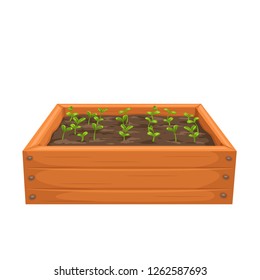 Sprouts, shoot, seedling, sapling in a wooden box . Garnening illustration.