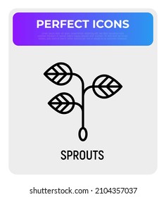 Sprouts thin line icon. Organic food. Microgreen. Vegan food. Vector illustration.