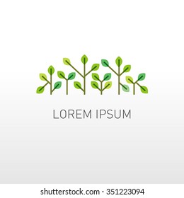 sprouts and trees illustration