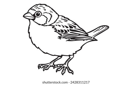 Sprrow bird vector cartoon on tree