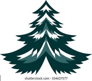 Spruce
