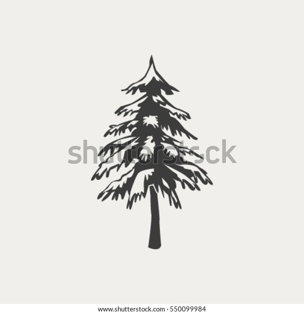 Spruce Stock Vector (Royalty Free) 550099984