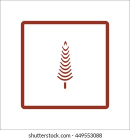 spruce, abstraction
