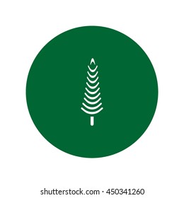 spruce, abstraction