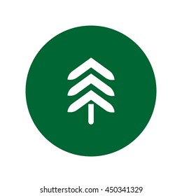 spruce, abstraction