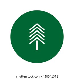 spruce, abstraction