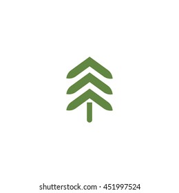 spruce, abstraction