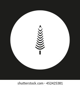spruce, abstraction