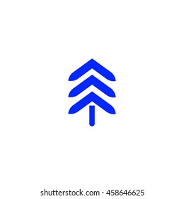 spruce, abstraction