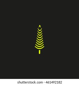 spruce, abstraction
