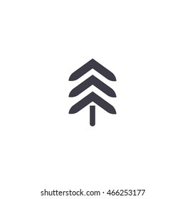 spruce, abstraction