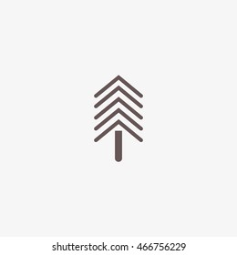 spruce, abstraction