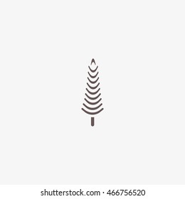 spruce, abstraction