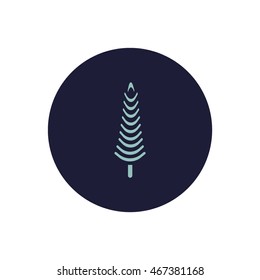 spruce, abstraction