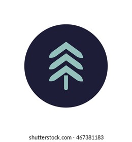 spruce, abstraction