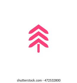 spruce, abstraction