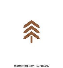 spruce, abstraction