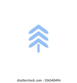spruce, abstraction