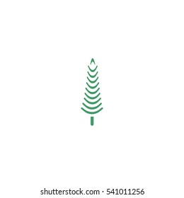 spruce, abstraction