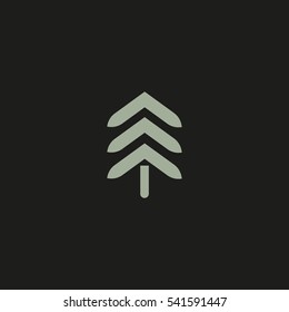 spruce, abstraction