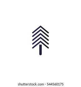 spruce, abstraction