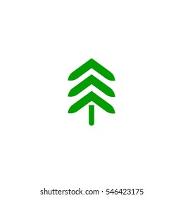 spruce, abstraction